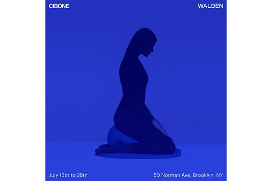 WALDEN POP UP
