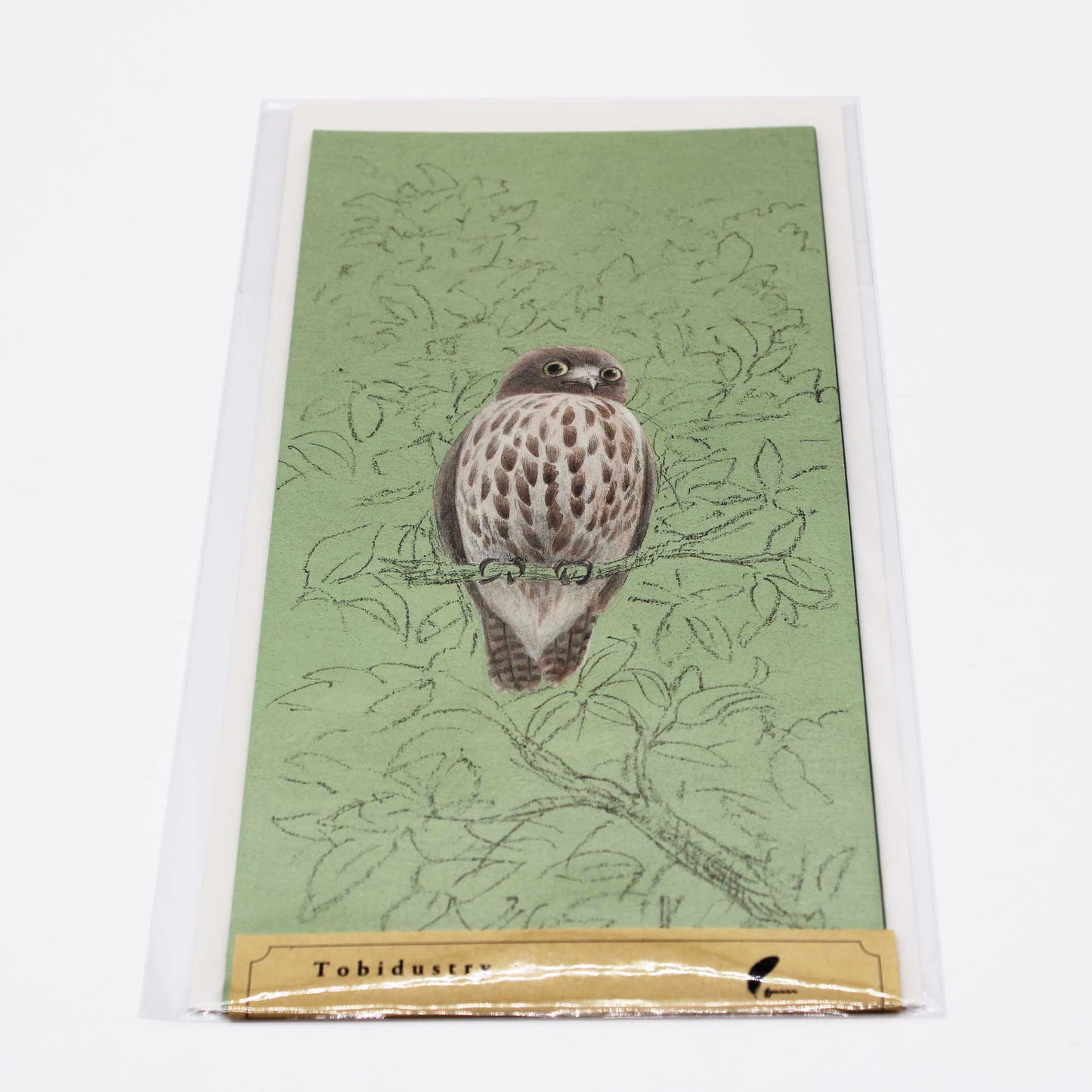 Tobidastory Brown Hawk Owl