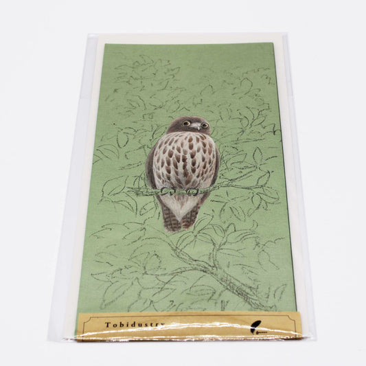 Tobidastory Brown Hawk Owl