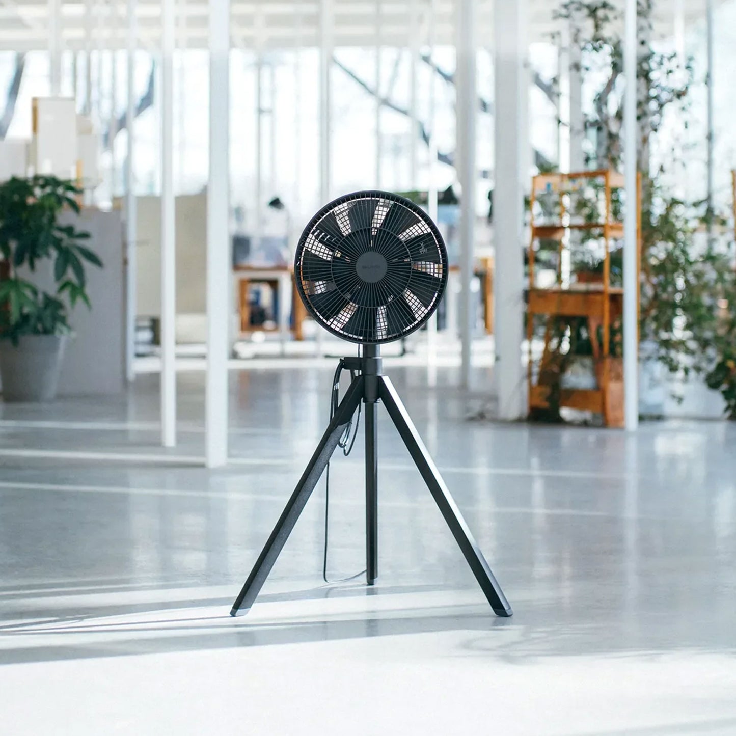 NatureWind Studio