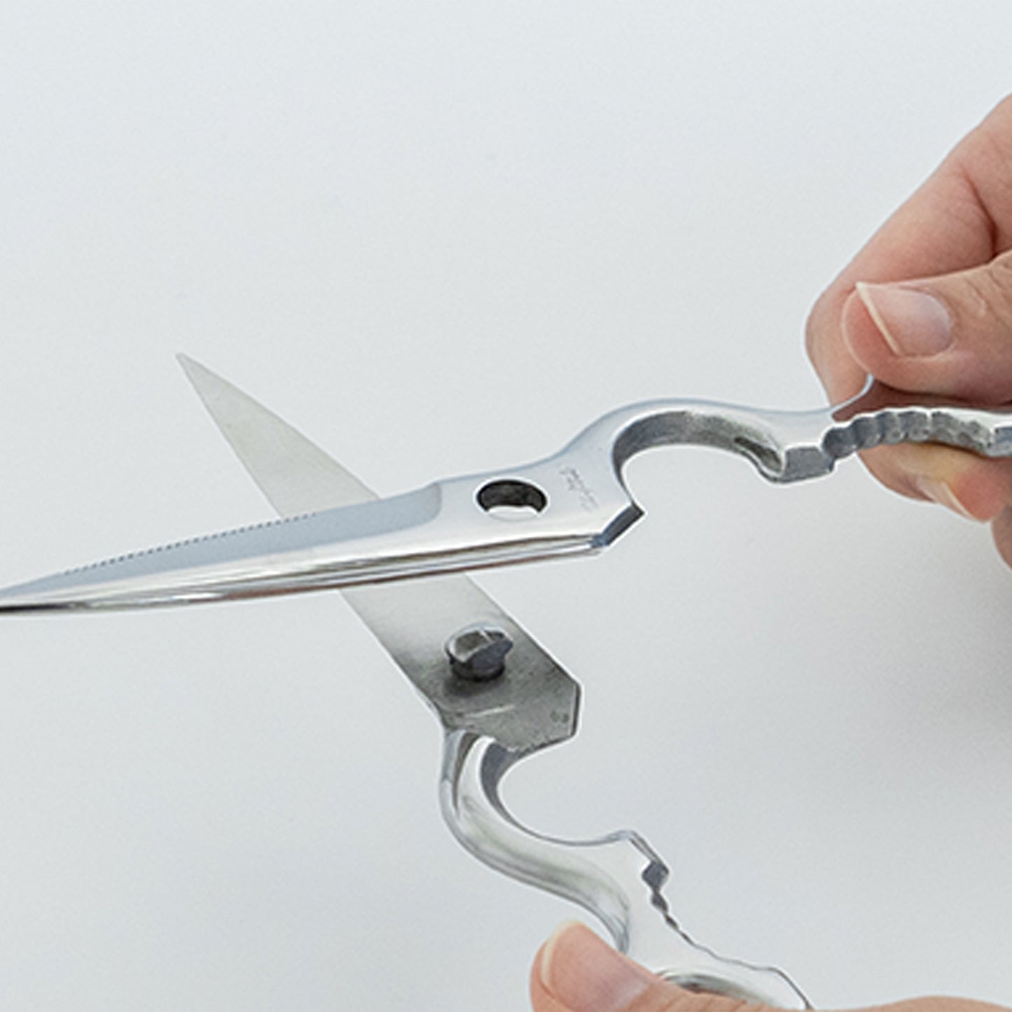 Kitchen shears separate