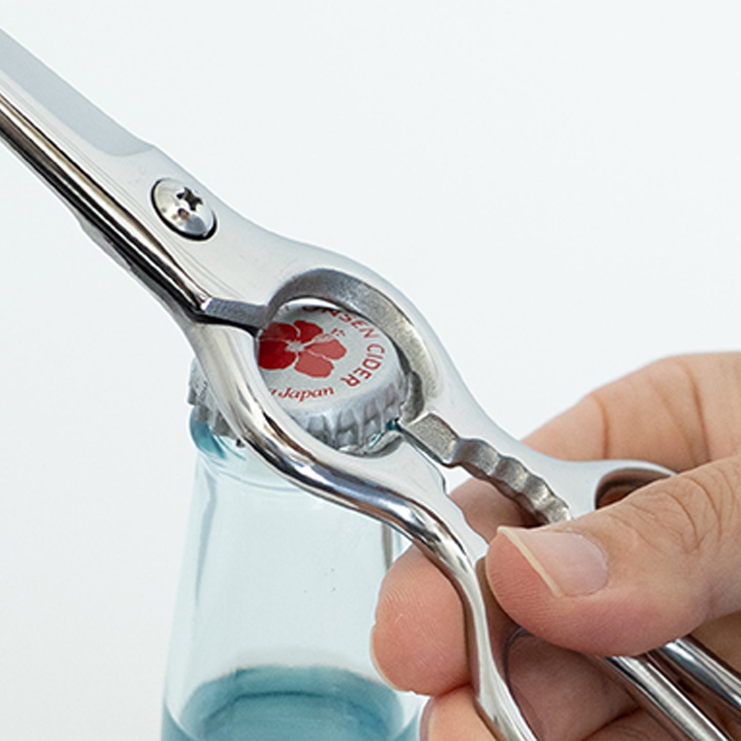 Kitchen shears separate