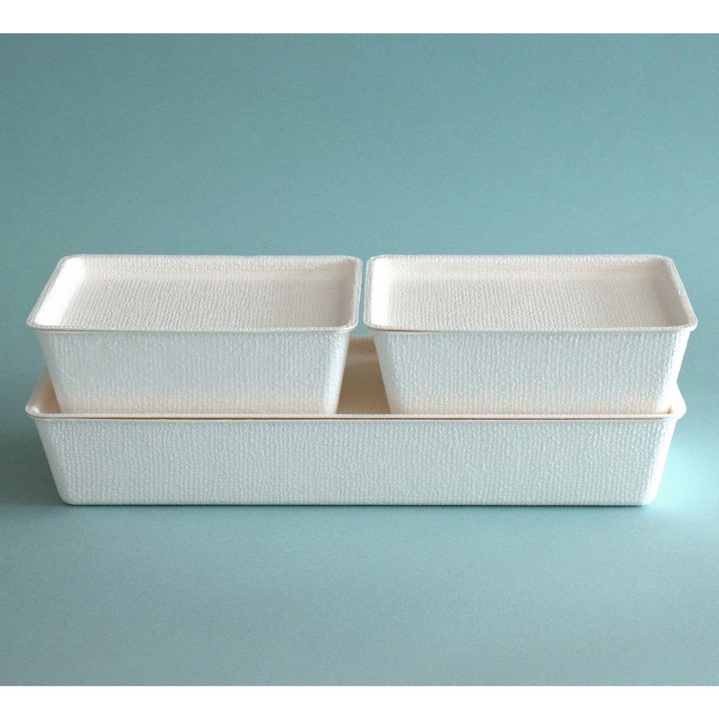 casanet Large Size Containers with Lids, Set of 4 (4 Lids and Main Units)