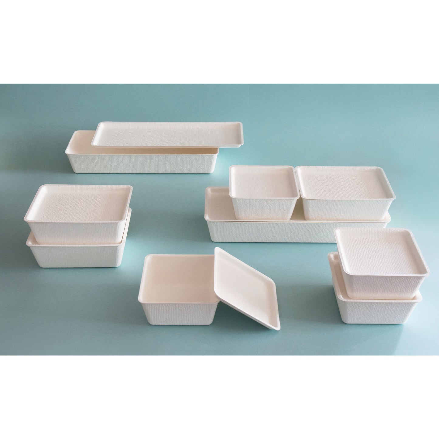 casanet Small Size Containers with Lids, Set of 5 (5 Lids and Main Units)