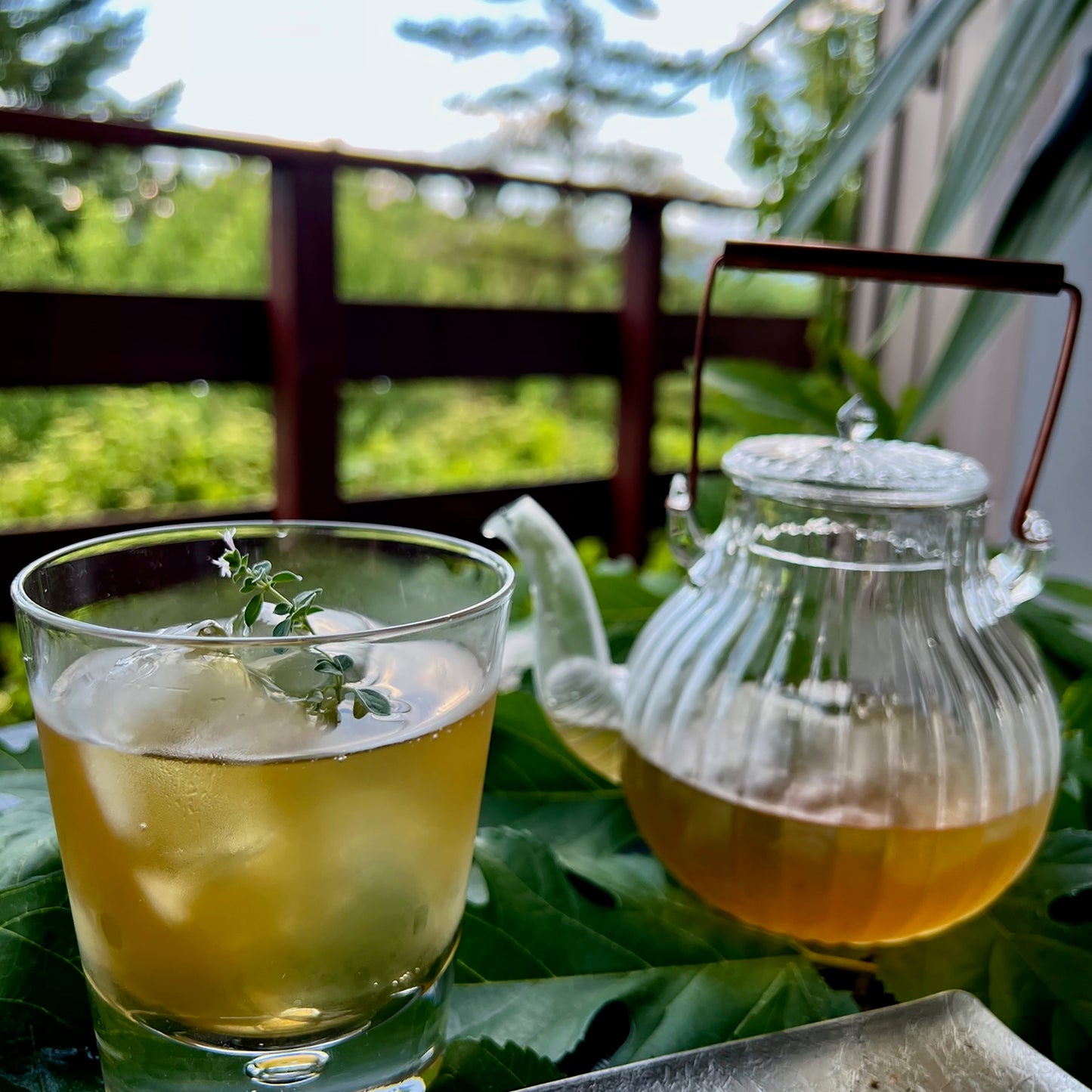 Mugwort Ginger Tea (Yellow)_WARM