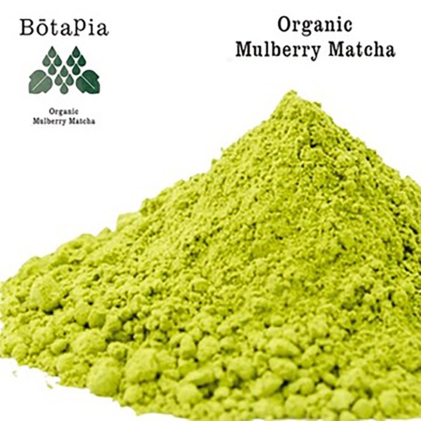Organic Mulberry Matcha (Green)