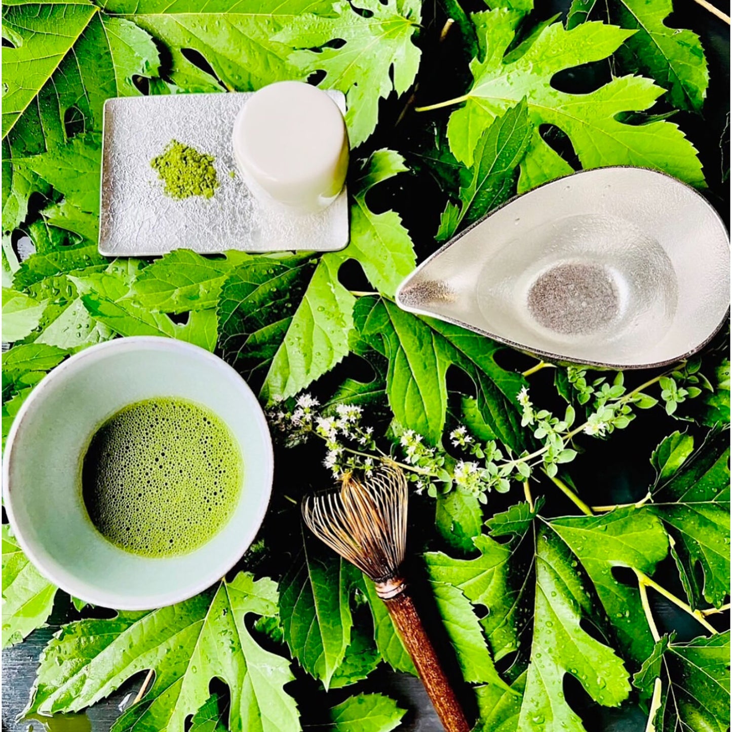 Organic Mulberry Matcha (Green)
