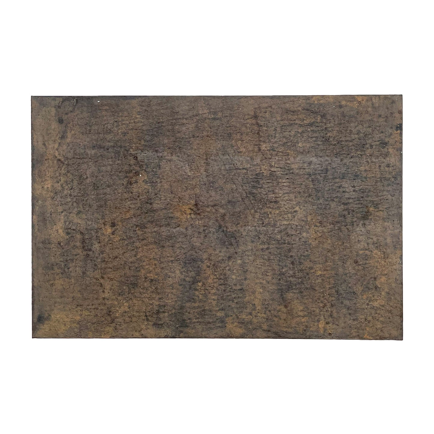 Tray 300x450 Wataru Hatano