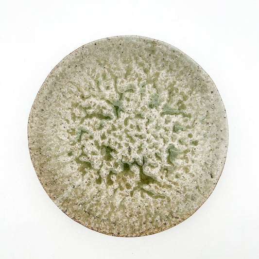 Plate WH 10.71inch_Souji Tsurumi