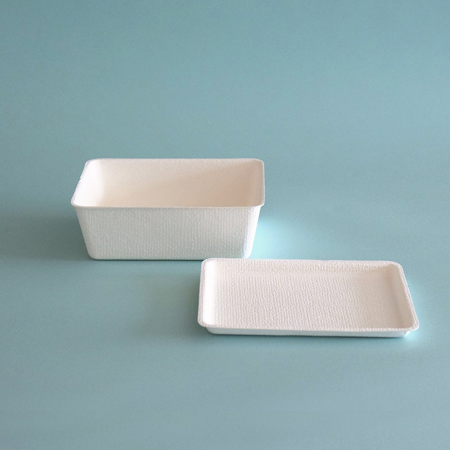 casanet Medium Size Containers with Lids, Set of 5 (5 Lids and Main Units)