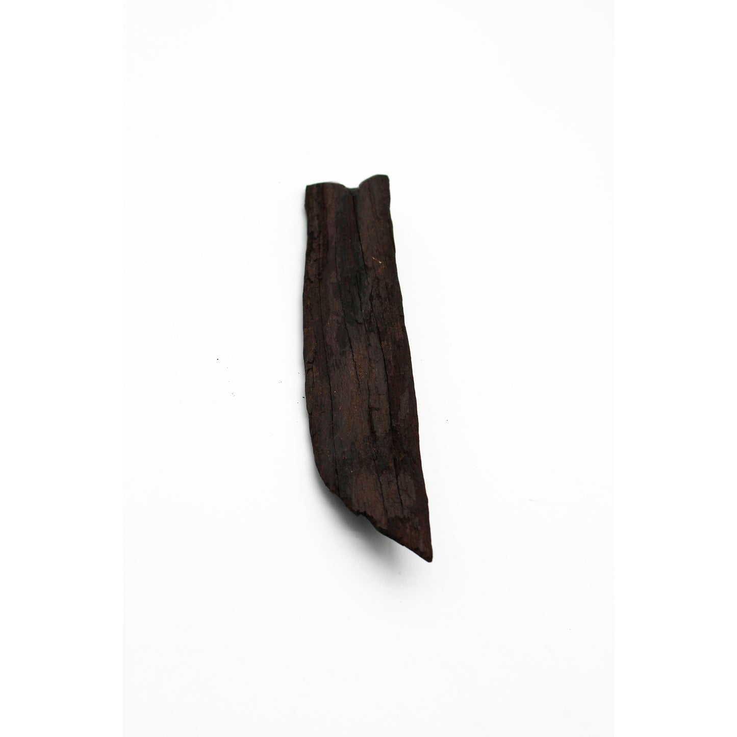Single-Stem Vase D_Yuriko Nishiishigaki