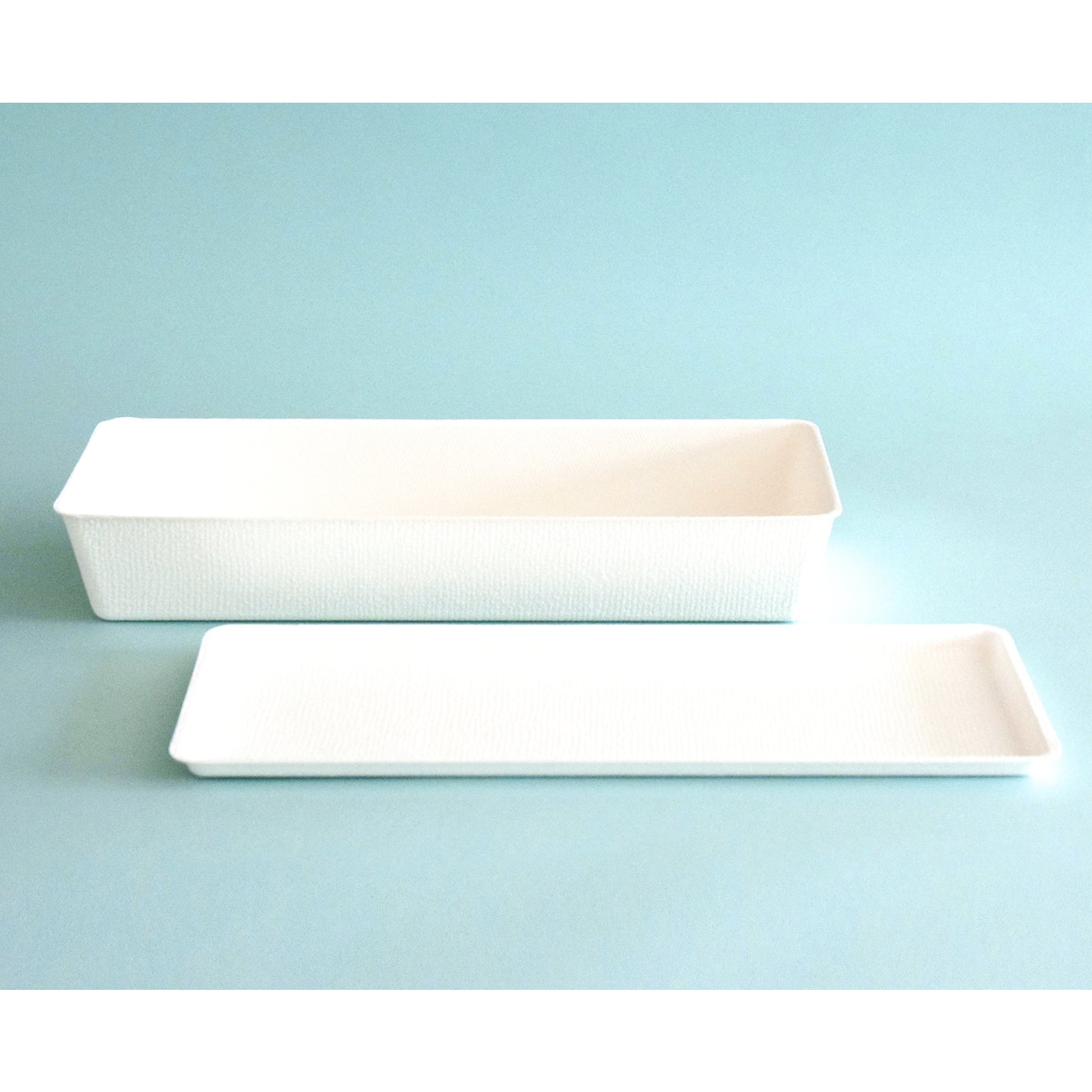 casanet Large Size Containers with Lids, Set of 4 (4 Lids and Main Units)