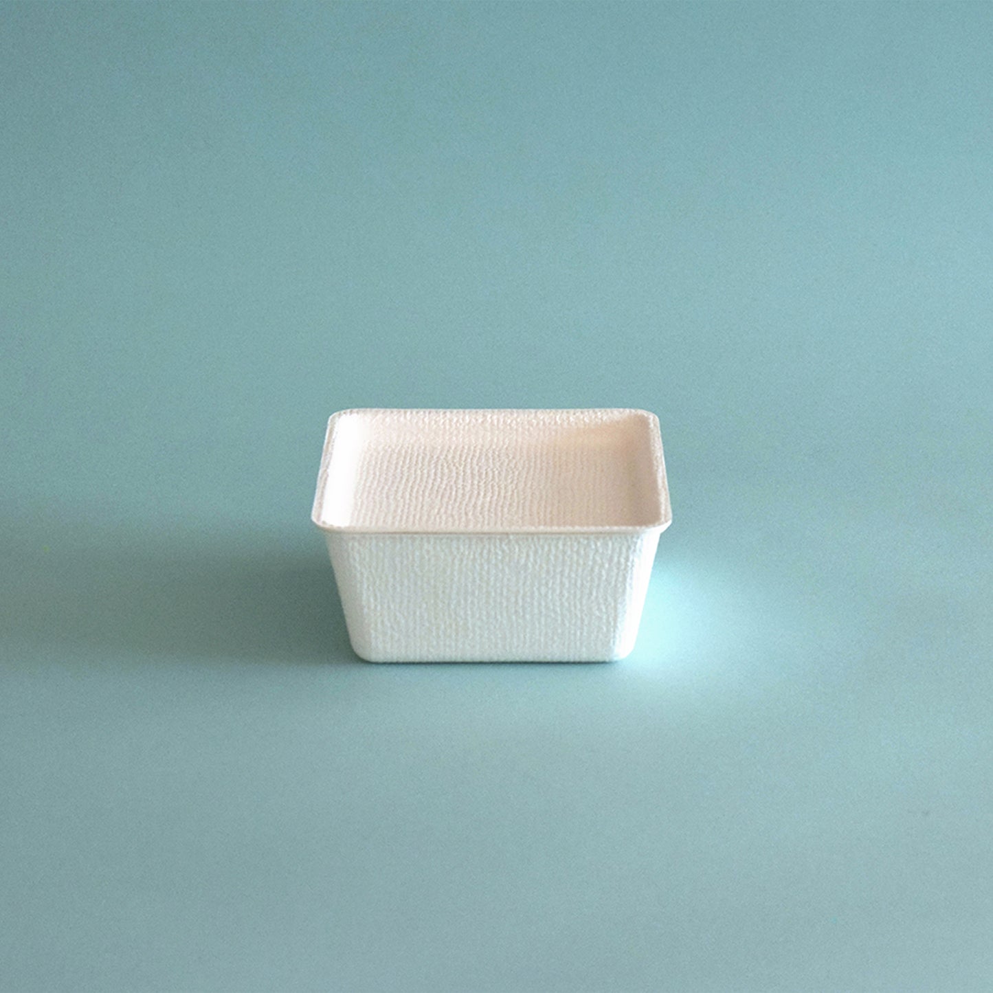 casanet Small Size Containers with Lids, Set of 5 (5 Lids and Main Units)