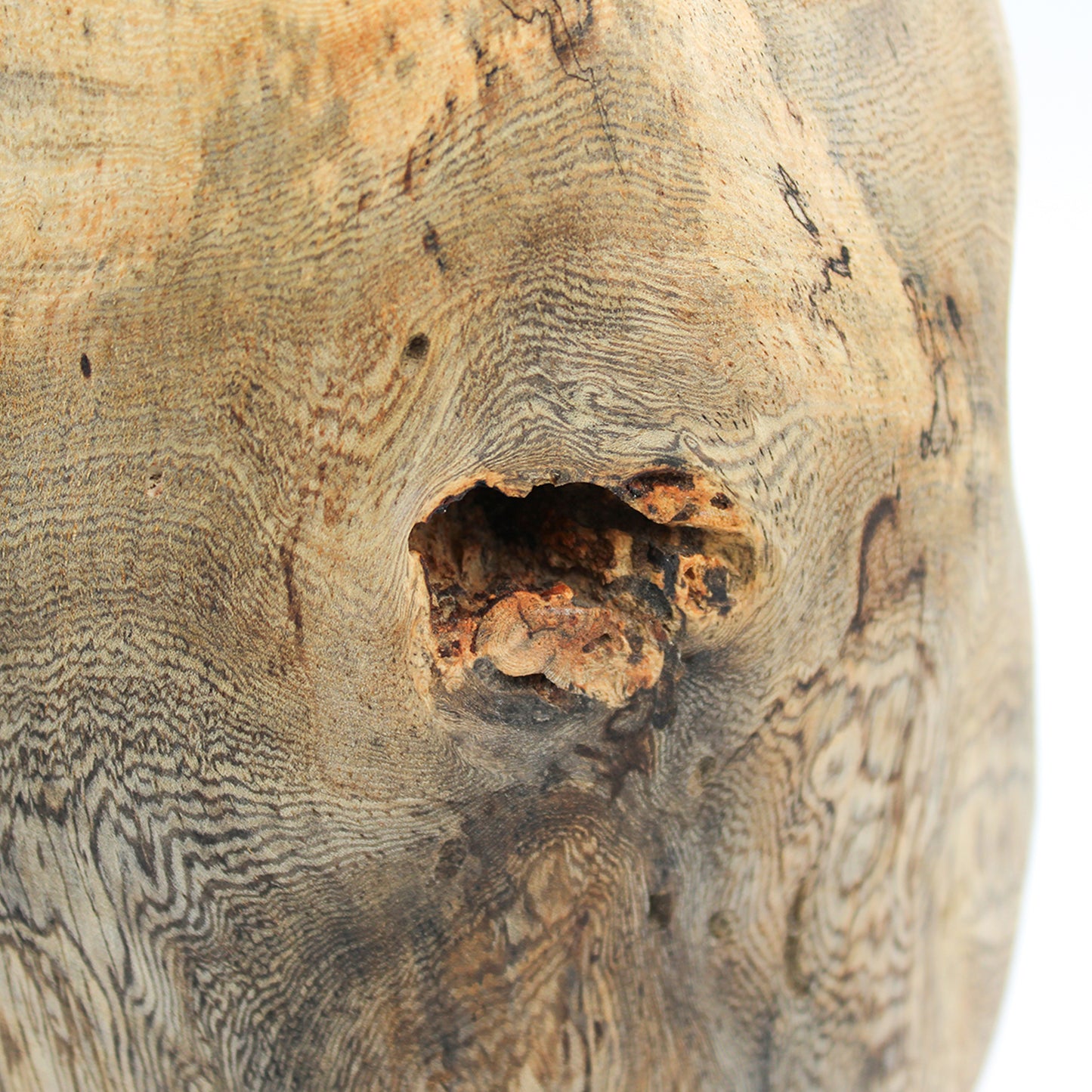 Flower Vase D_Yuriko Nishiishigaki