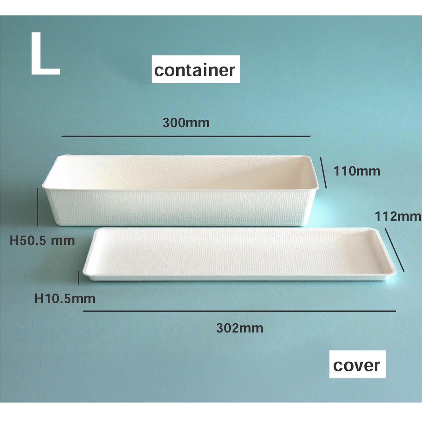 casanet Large Size Containers with Lids, Set of 4 (4 Lids and Main Units)