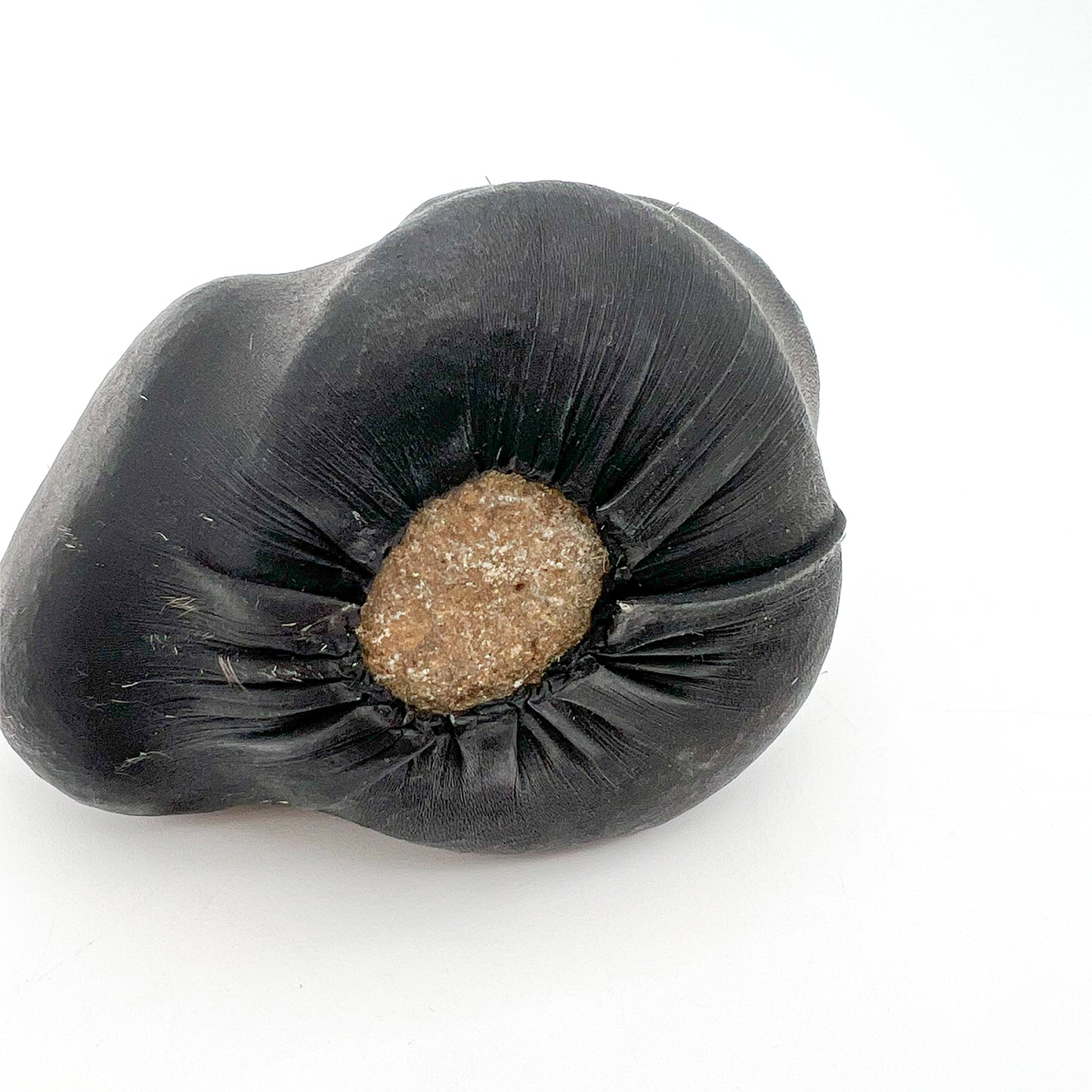 Object Stone_21 Mikio Ishiguro