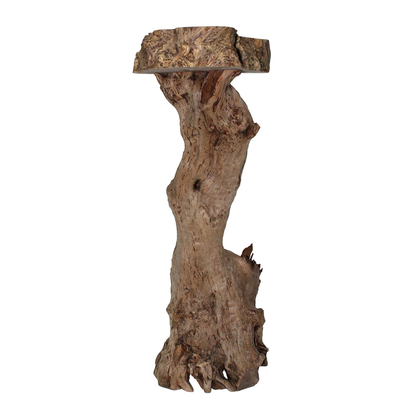 Zelkova Display Stand_58A