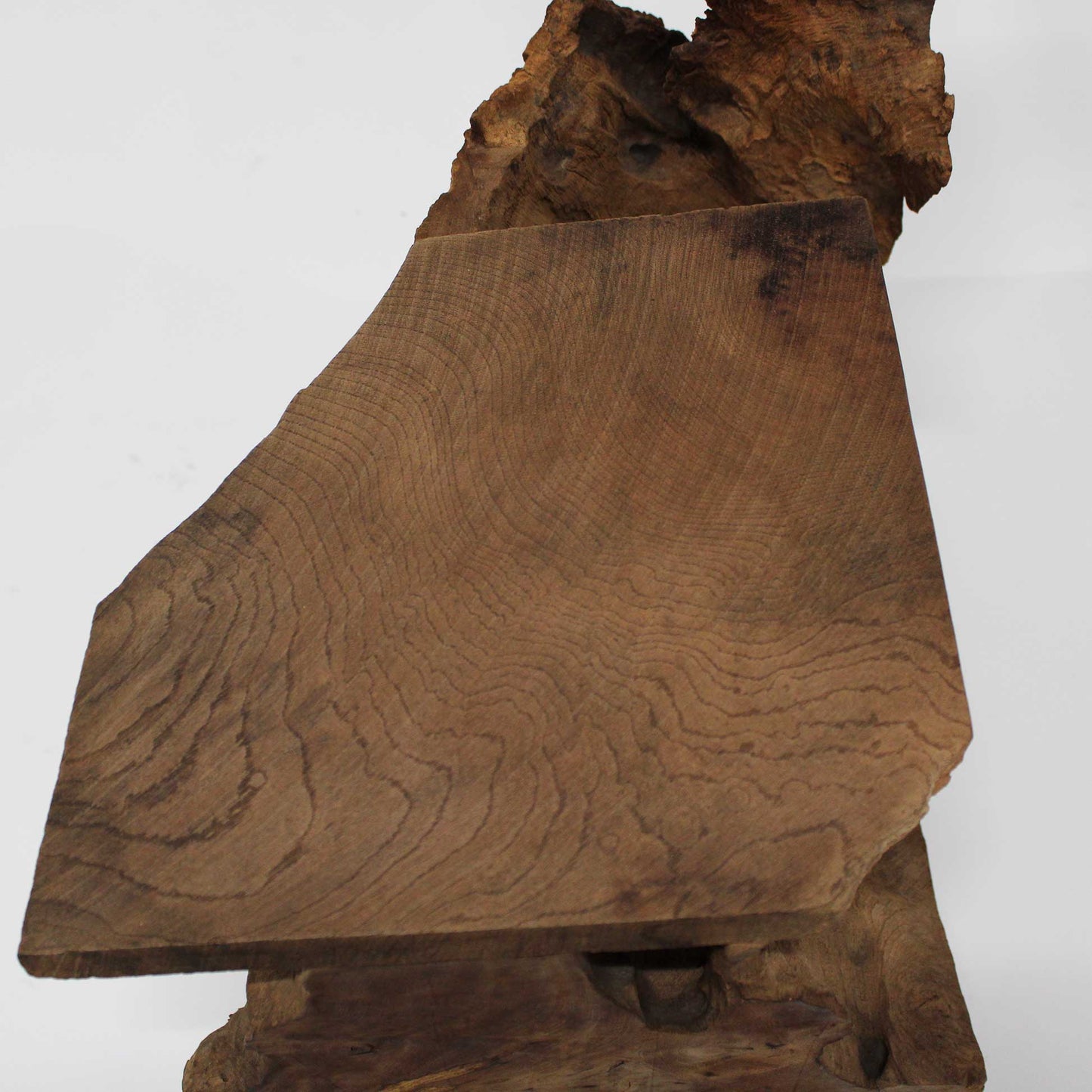 Zelkova Chair_58A