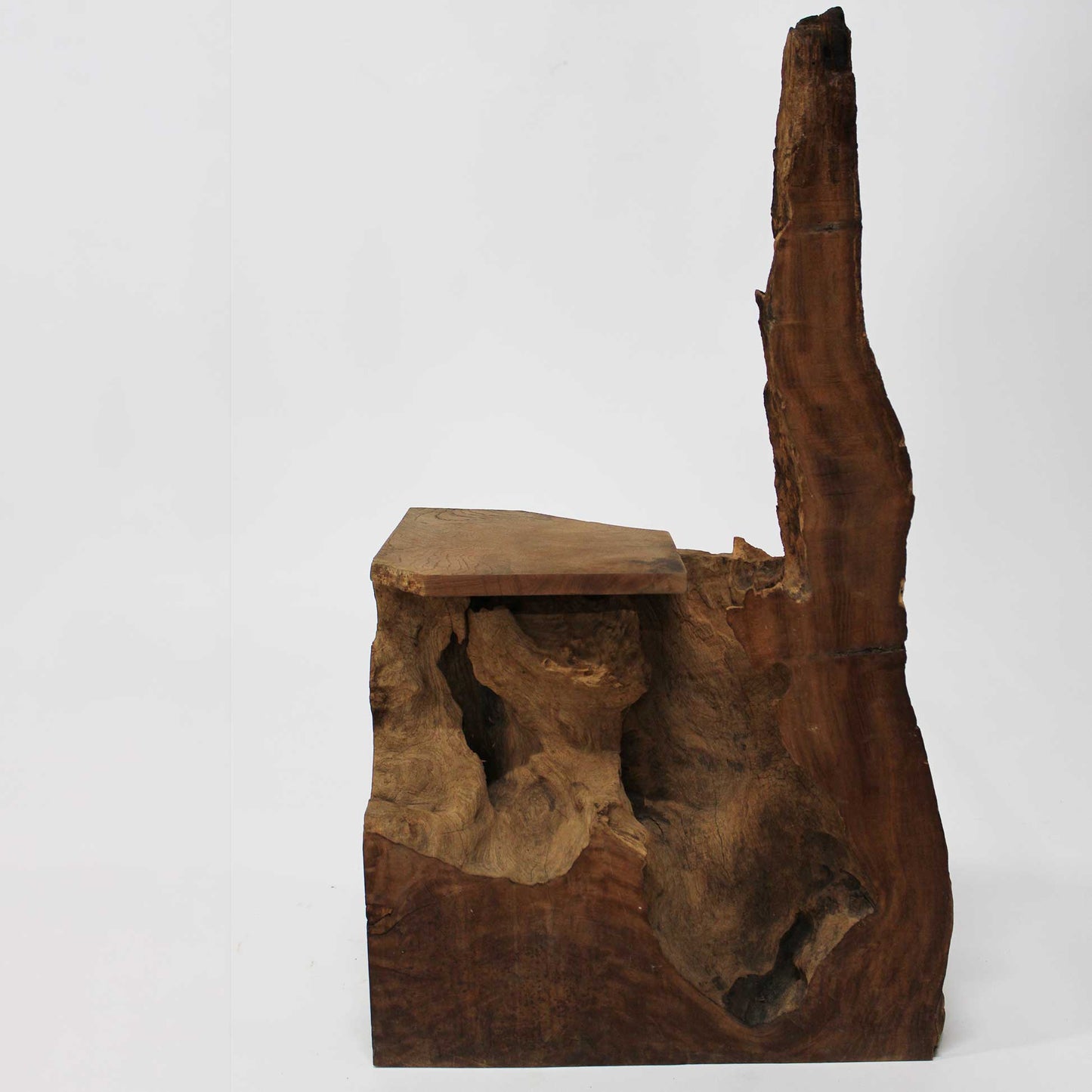 Zelkova Chair_58A