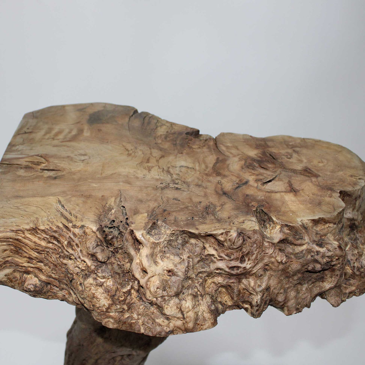 Zelkova Display Stand_58A