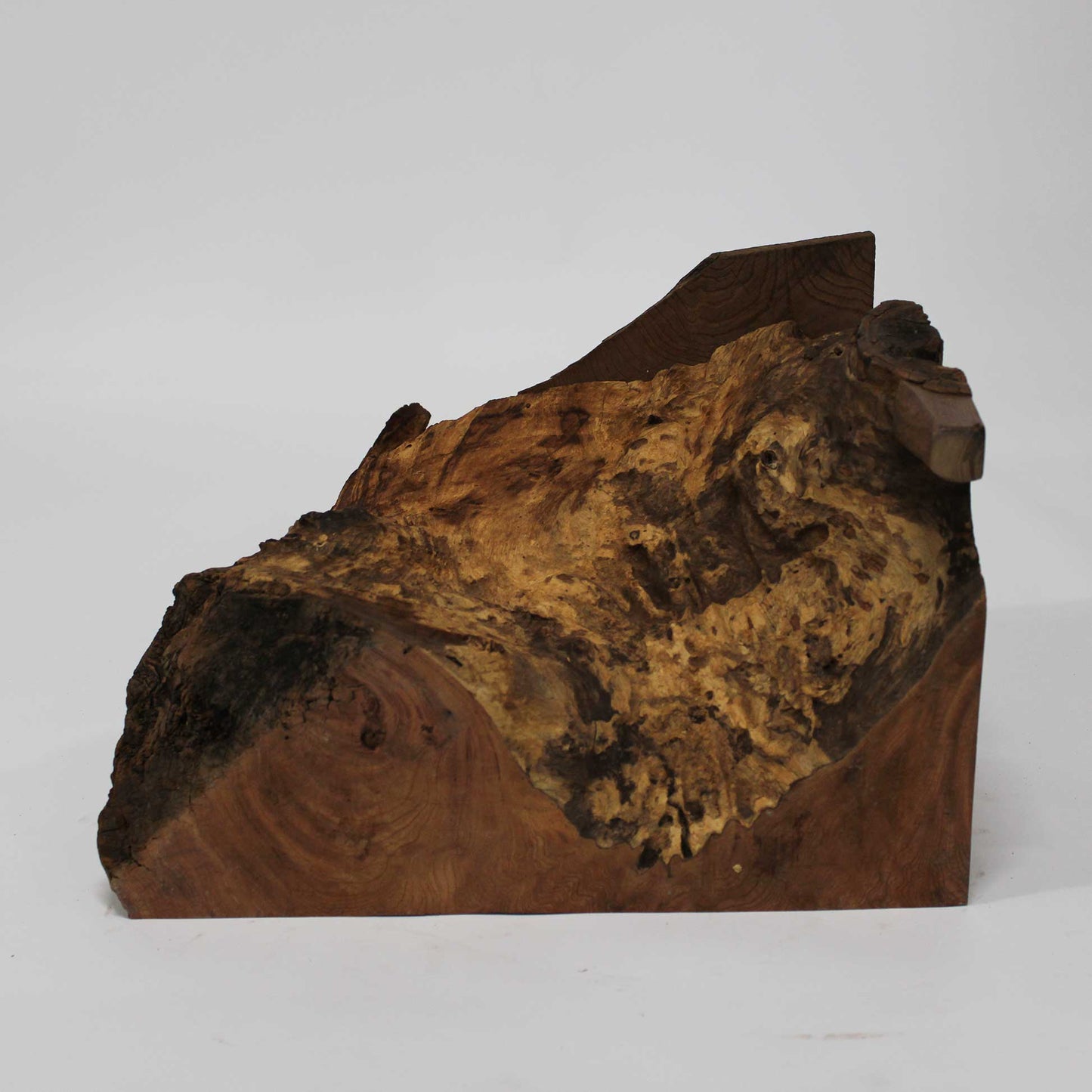 Zelkova Chair_58A