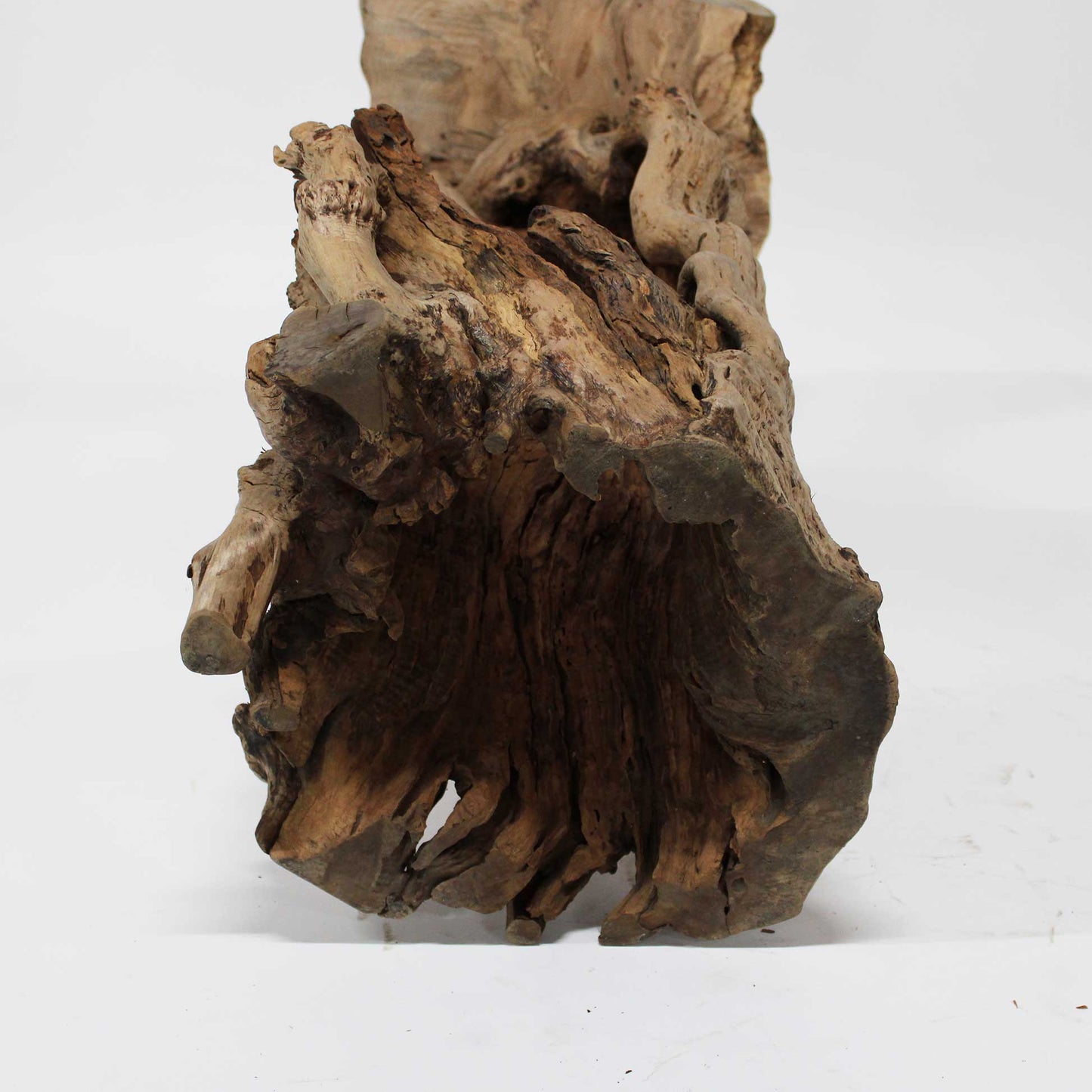Zelkova Display Stand_58A