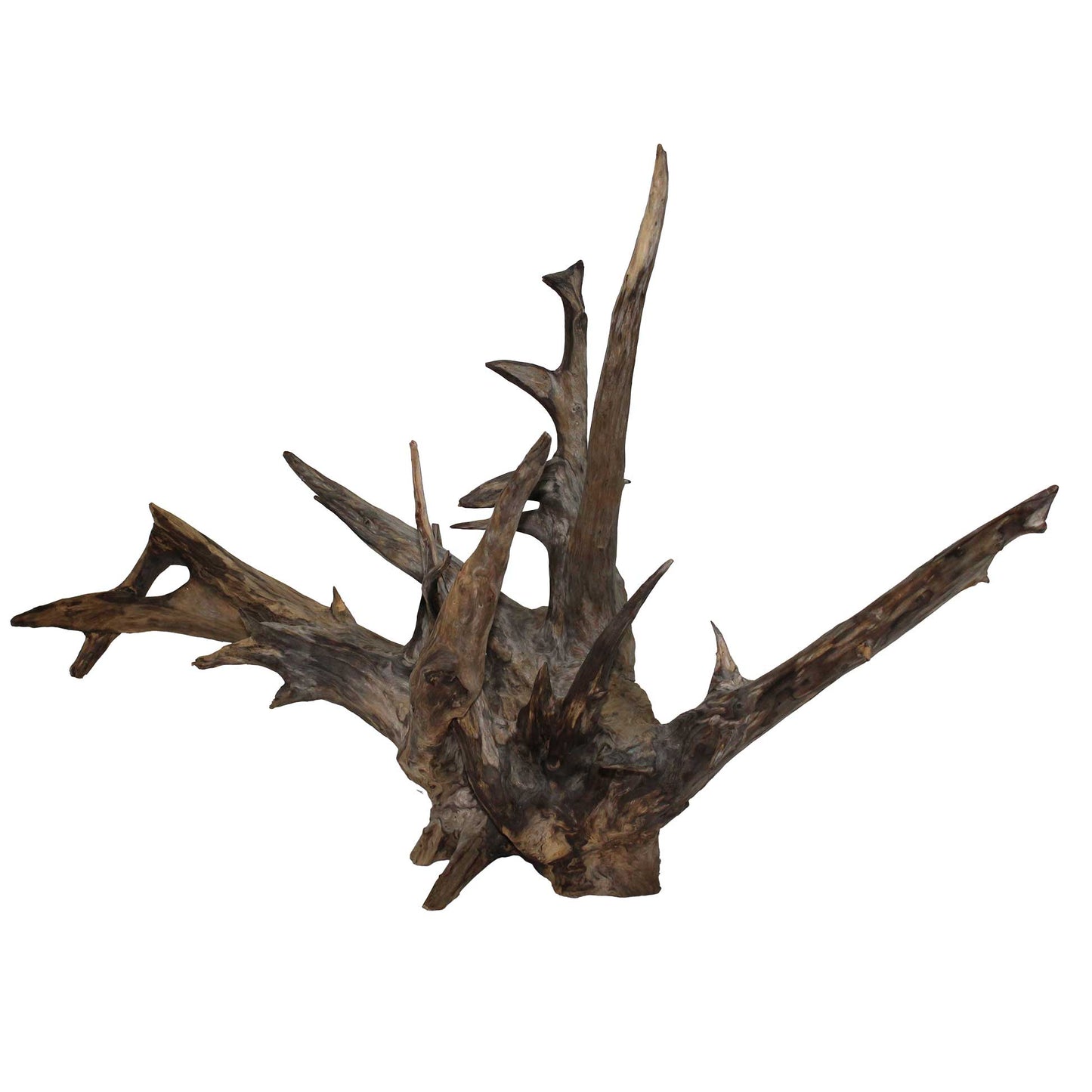 Roots Object_58A