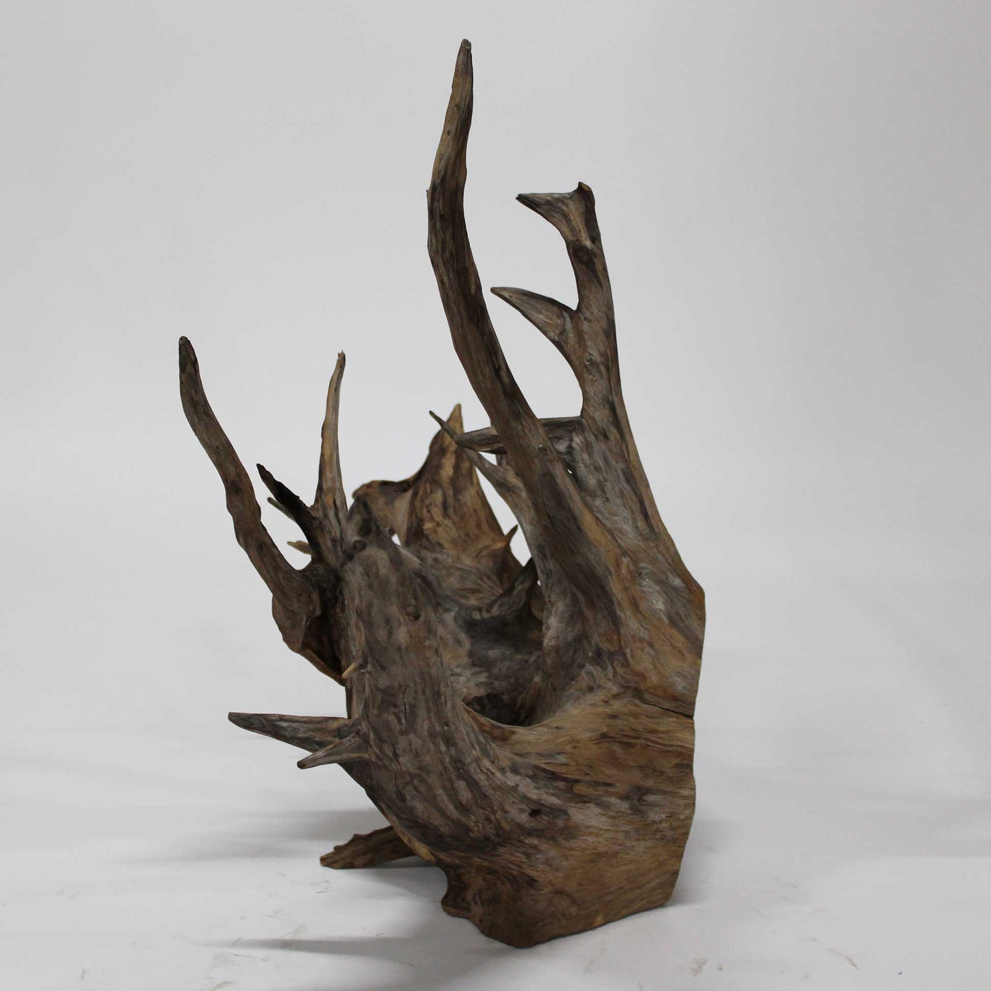 Roots Object_58A