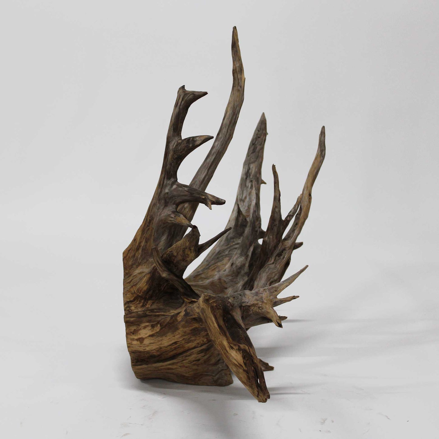 Roots Object_58A