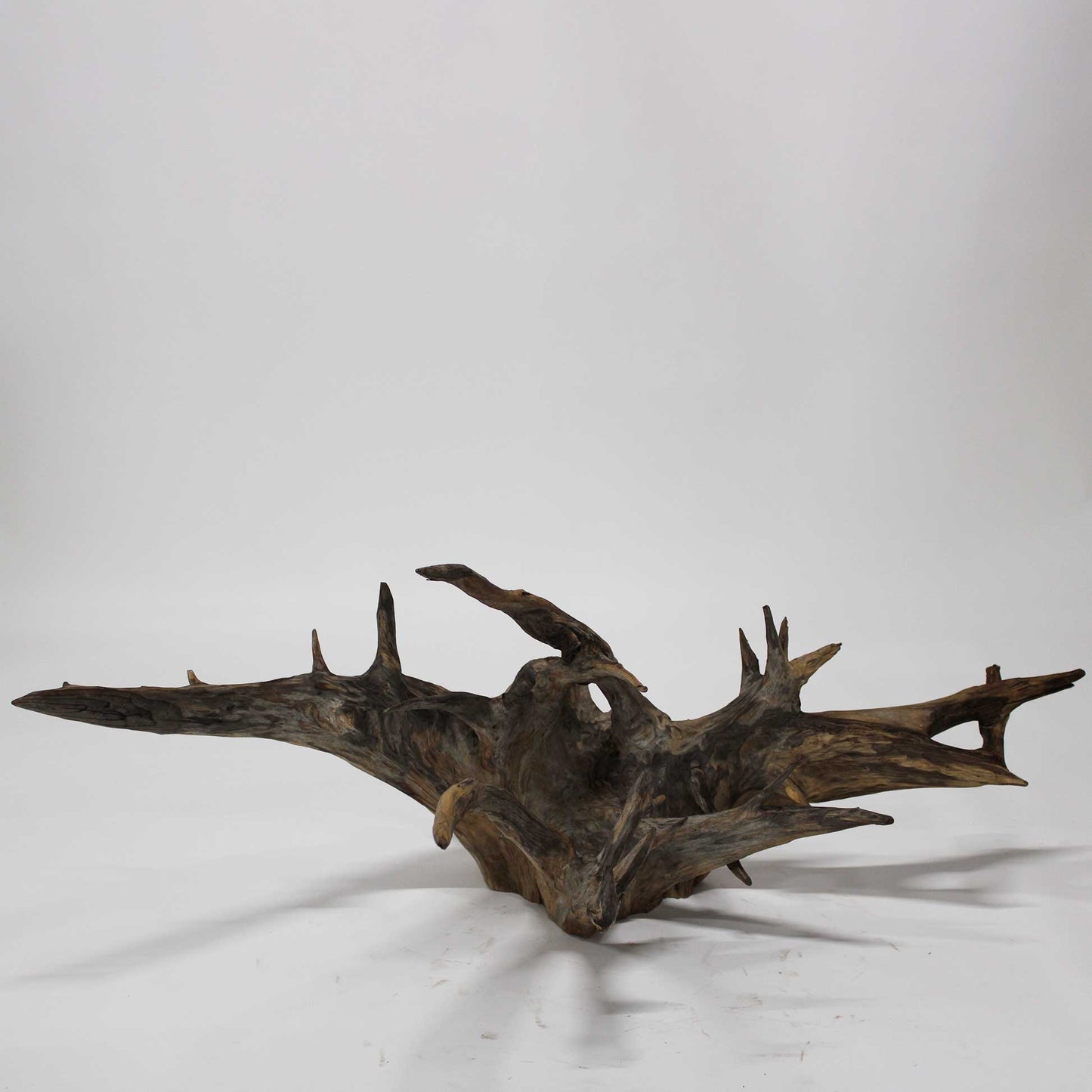 Roots Object_58A