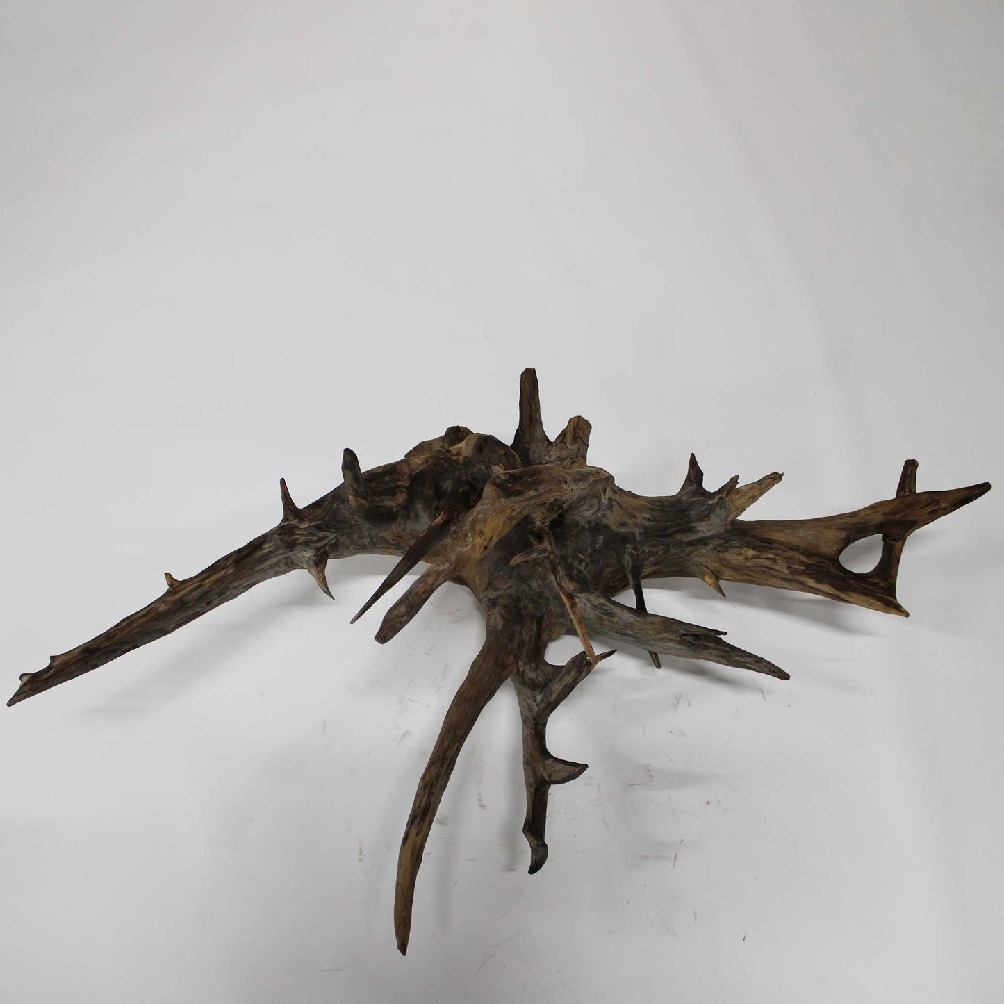 Roots Object_58A