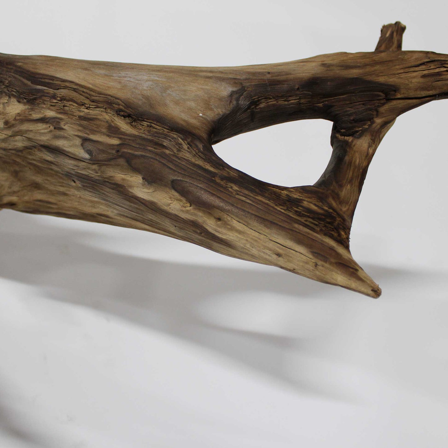 Roots Object_58A