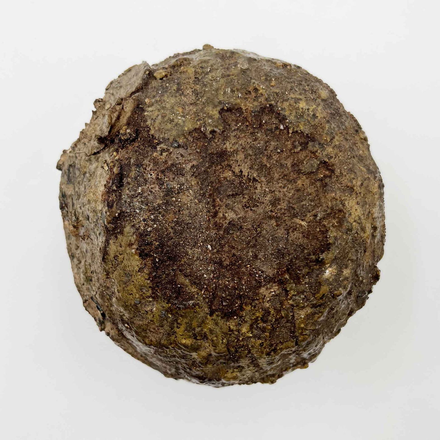 Tokoname Jar_57A
