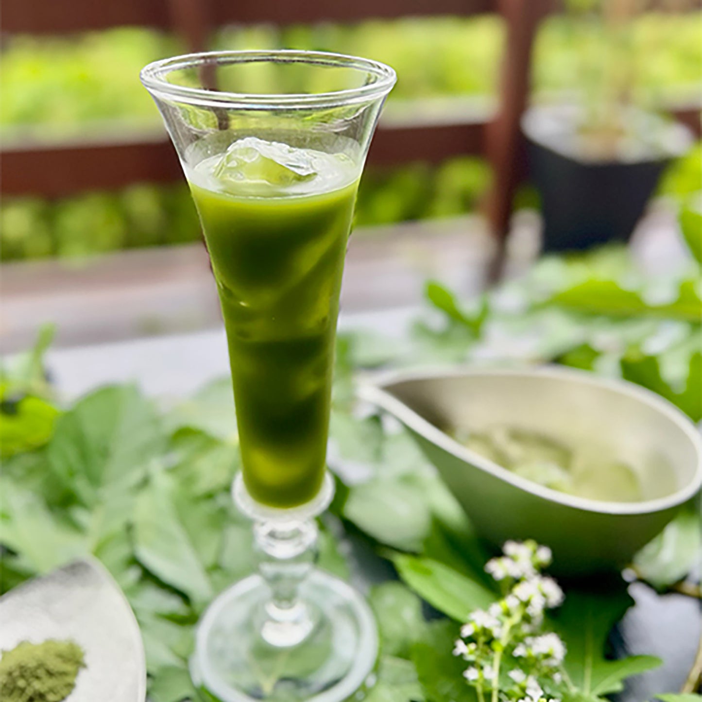 Organic Mulberry Matcha (Green)