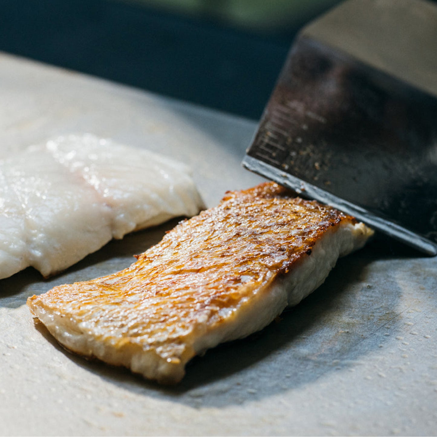 BALMUDA Teppanyaki