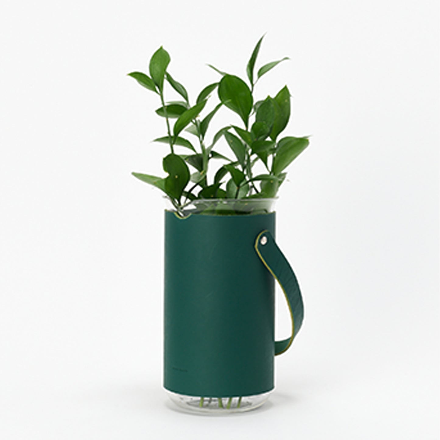 Tall Beaker/2000ml_GR_green_Hender Scheme