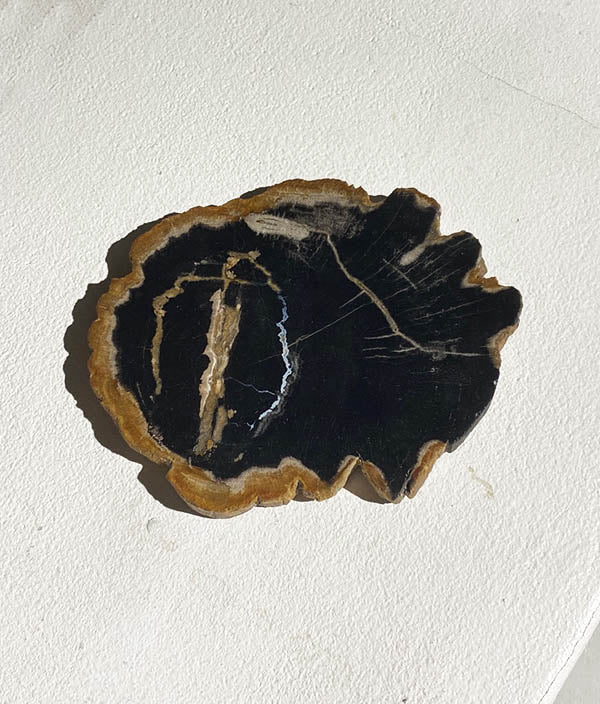 WOOD COASTER Black