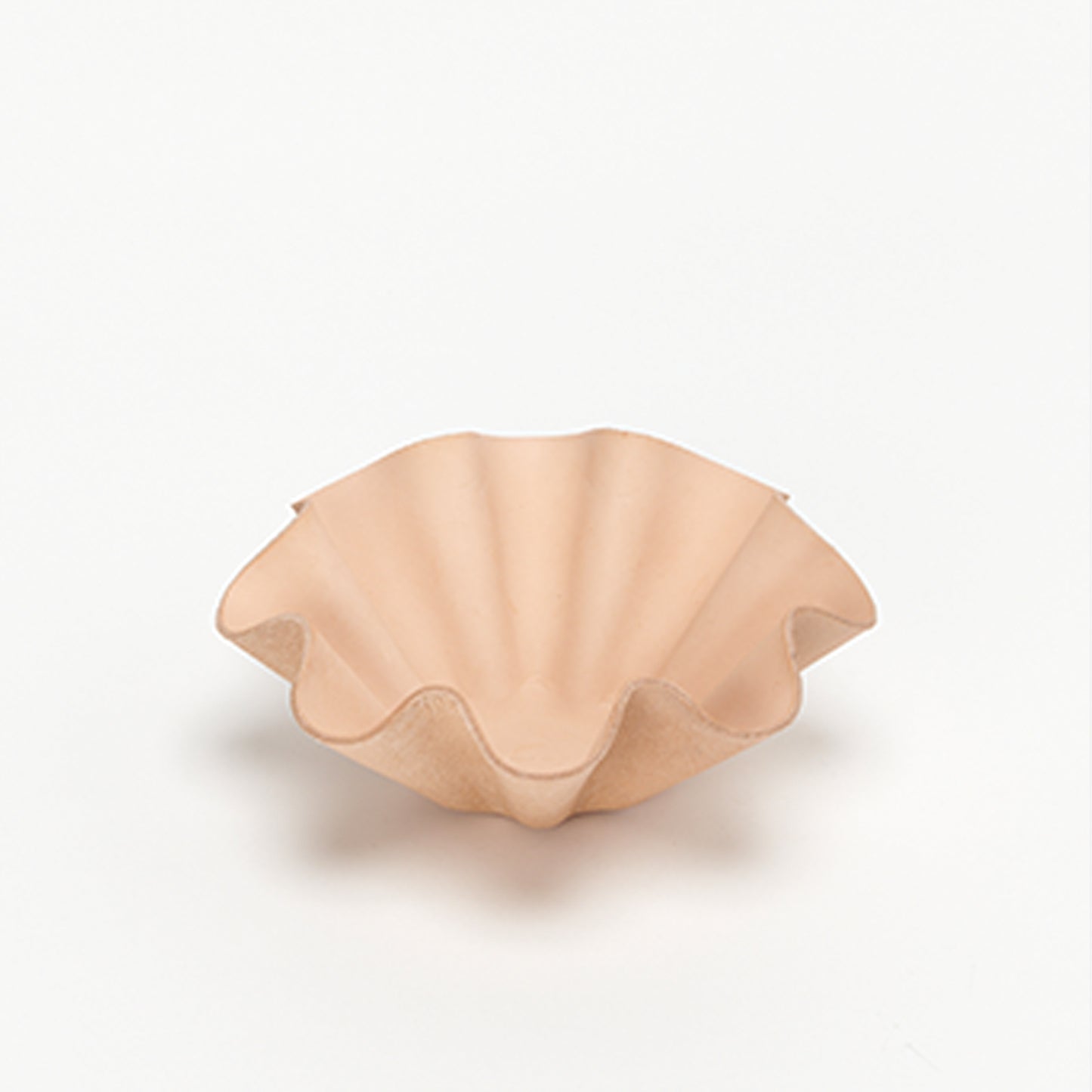 shell bowl big NT