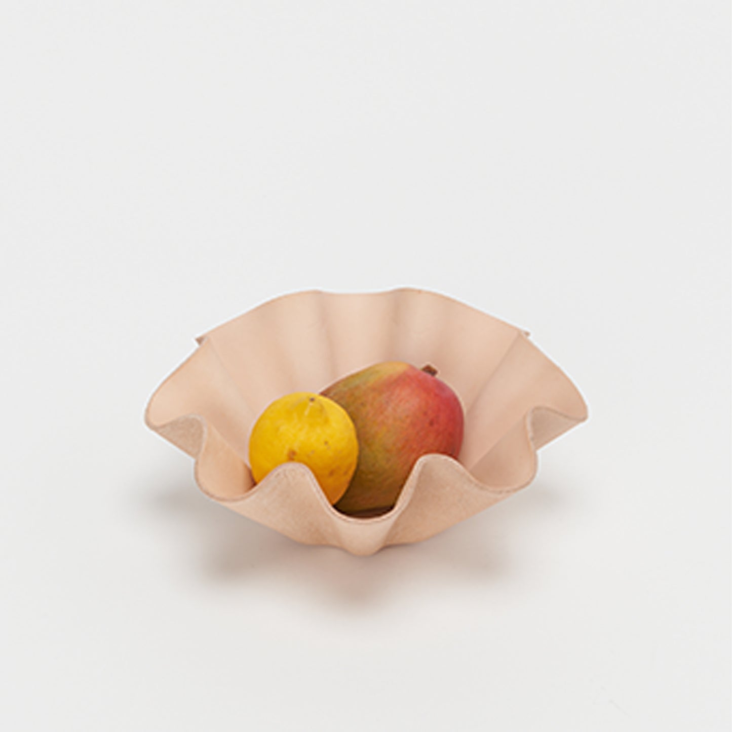 shell bowl big NT