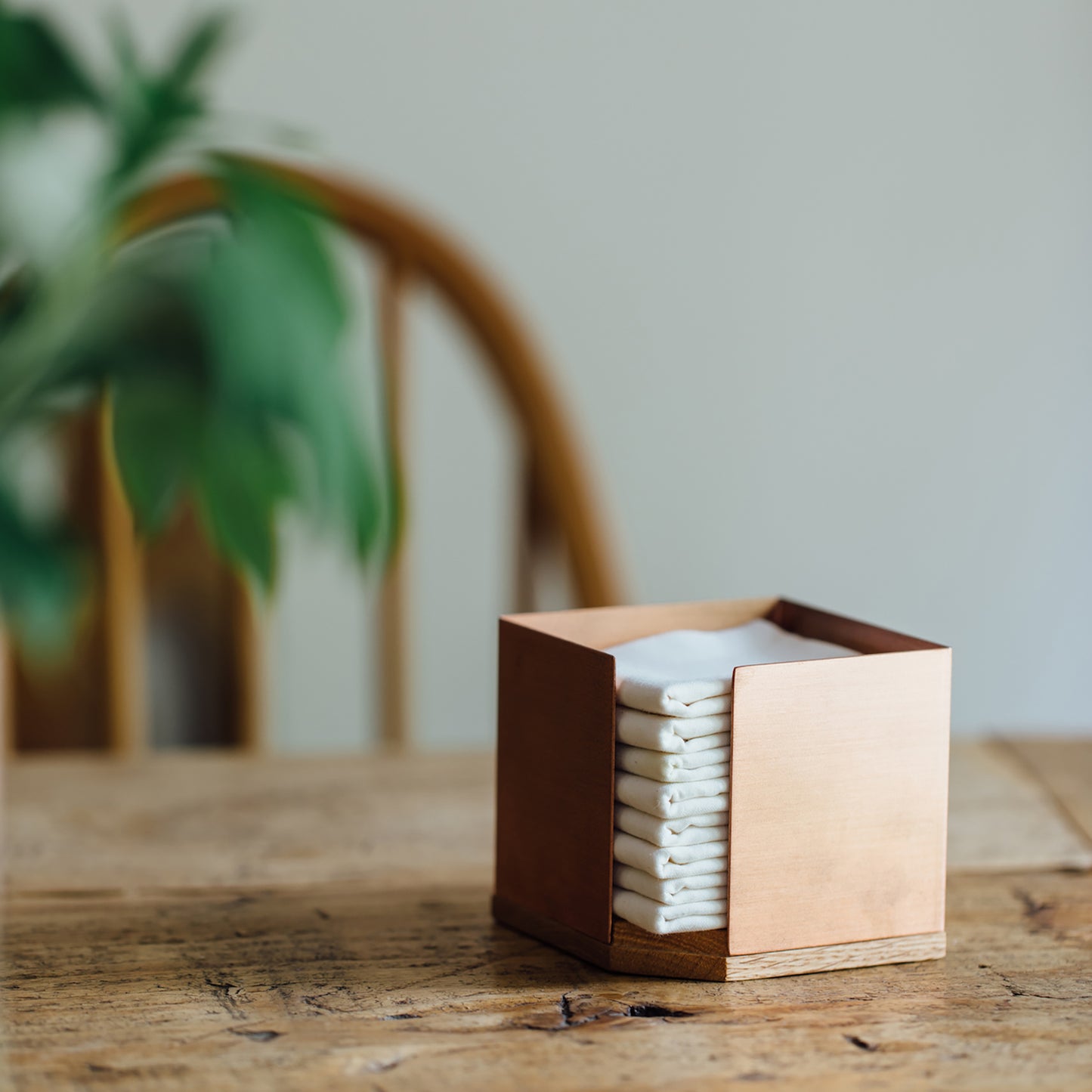 Wazarashi Squares – Case