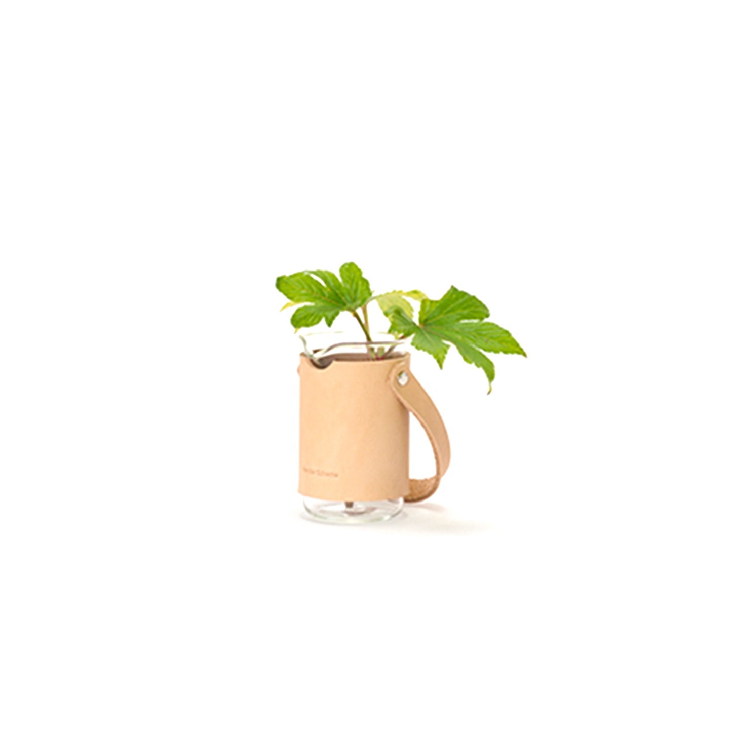 Tall Beaker/100ml NT