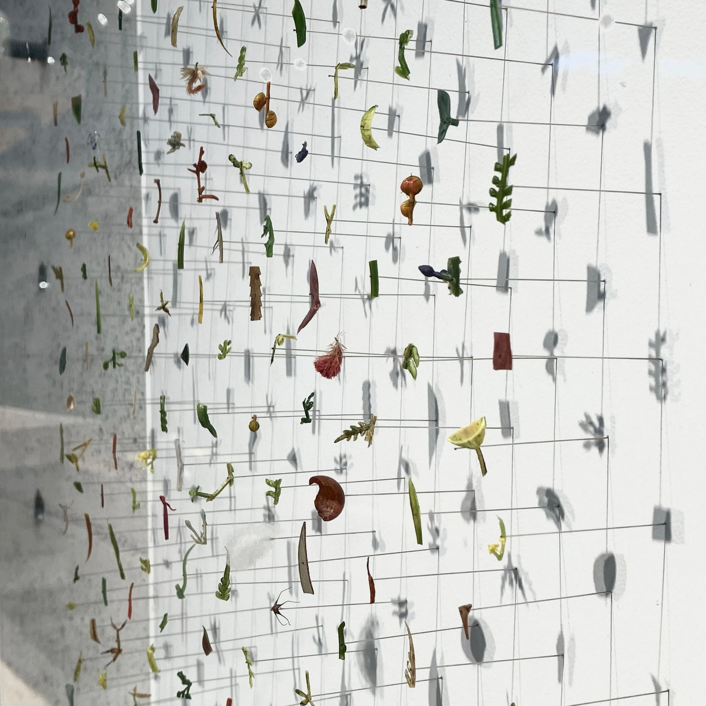 Artificial and dried flower e