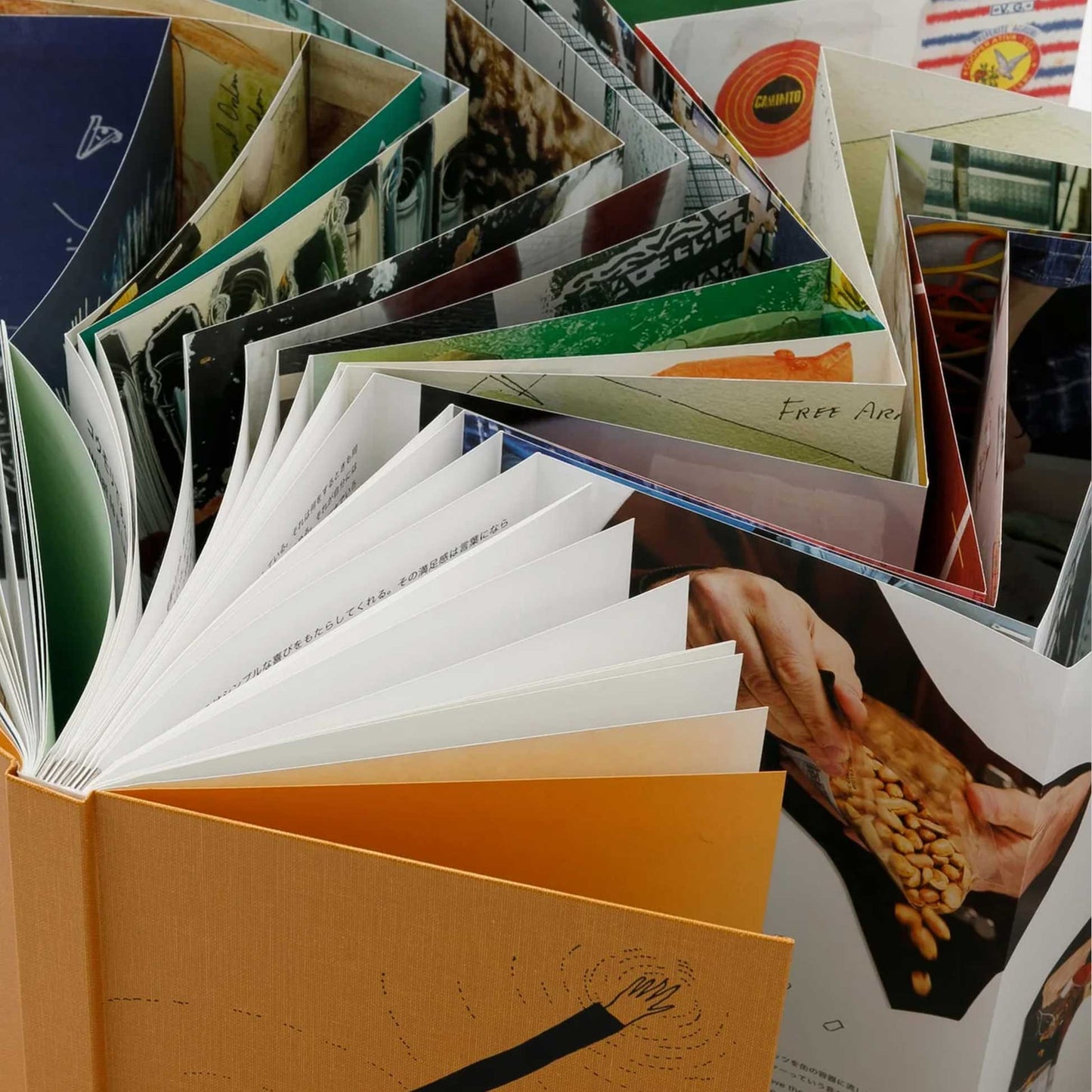 Viewpoint in the Fog English Belly Band