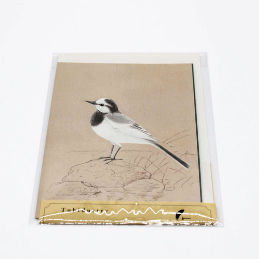Tobidastory White Wagtail