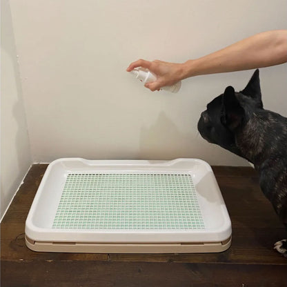 Wild Incense Spray for Room