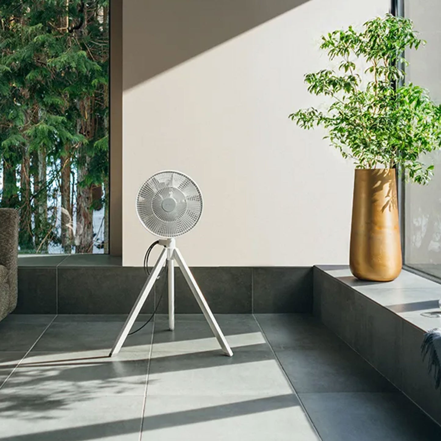 NatureWind Studio