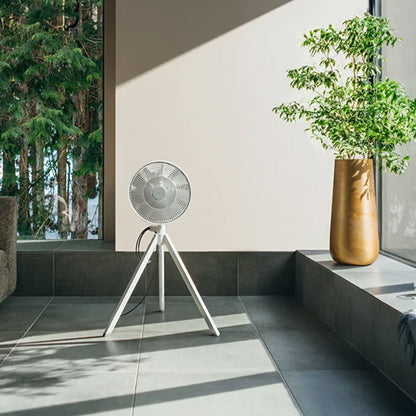 NatureWind Studio