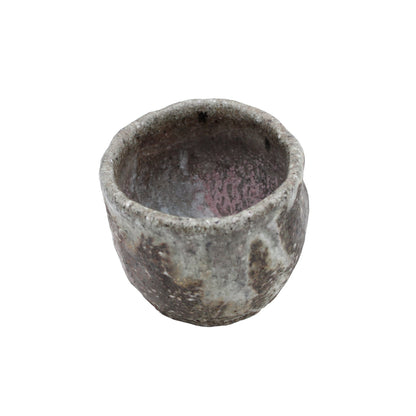 Tea Cup_609