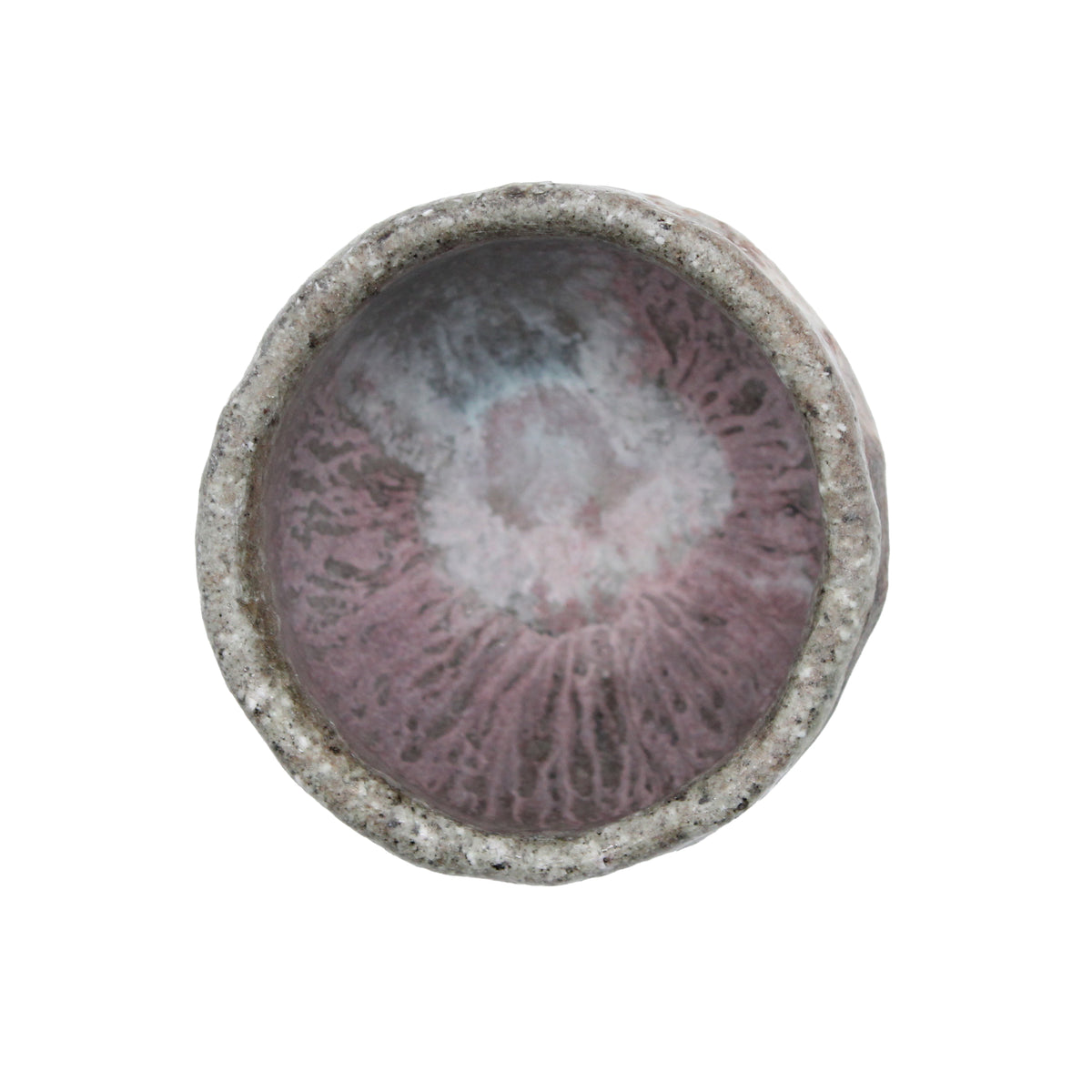 Tea Cup_609