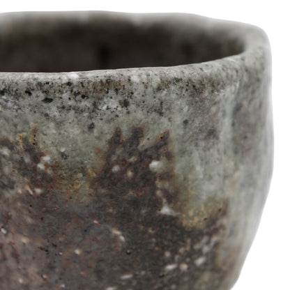 Tea Cup_609